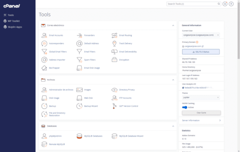 Hosting y correos (cPanel)